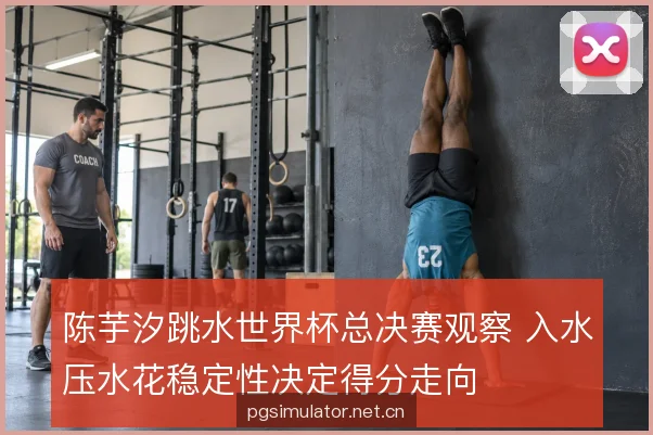 陈芋汐跳水世界杯总决赛观察 入水压水花稳定性决定得分走向